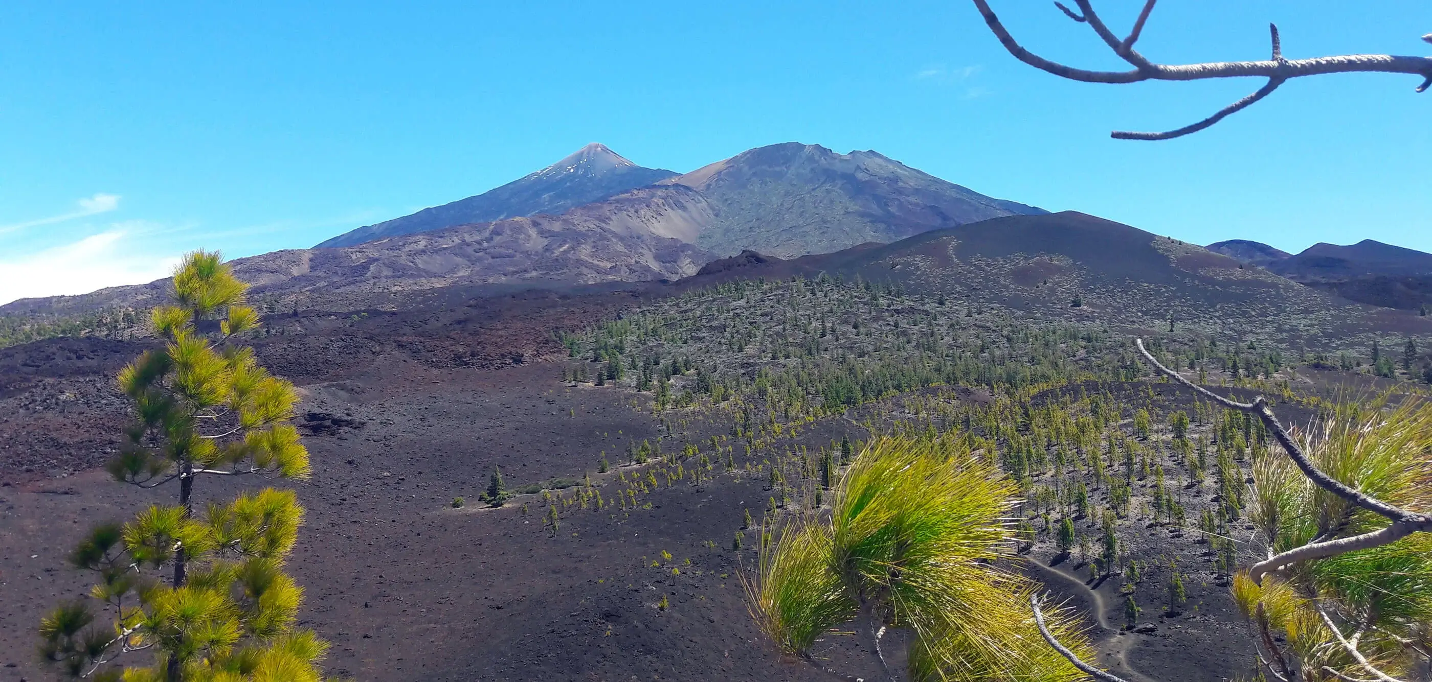 Tenerife