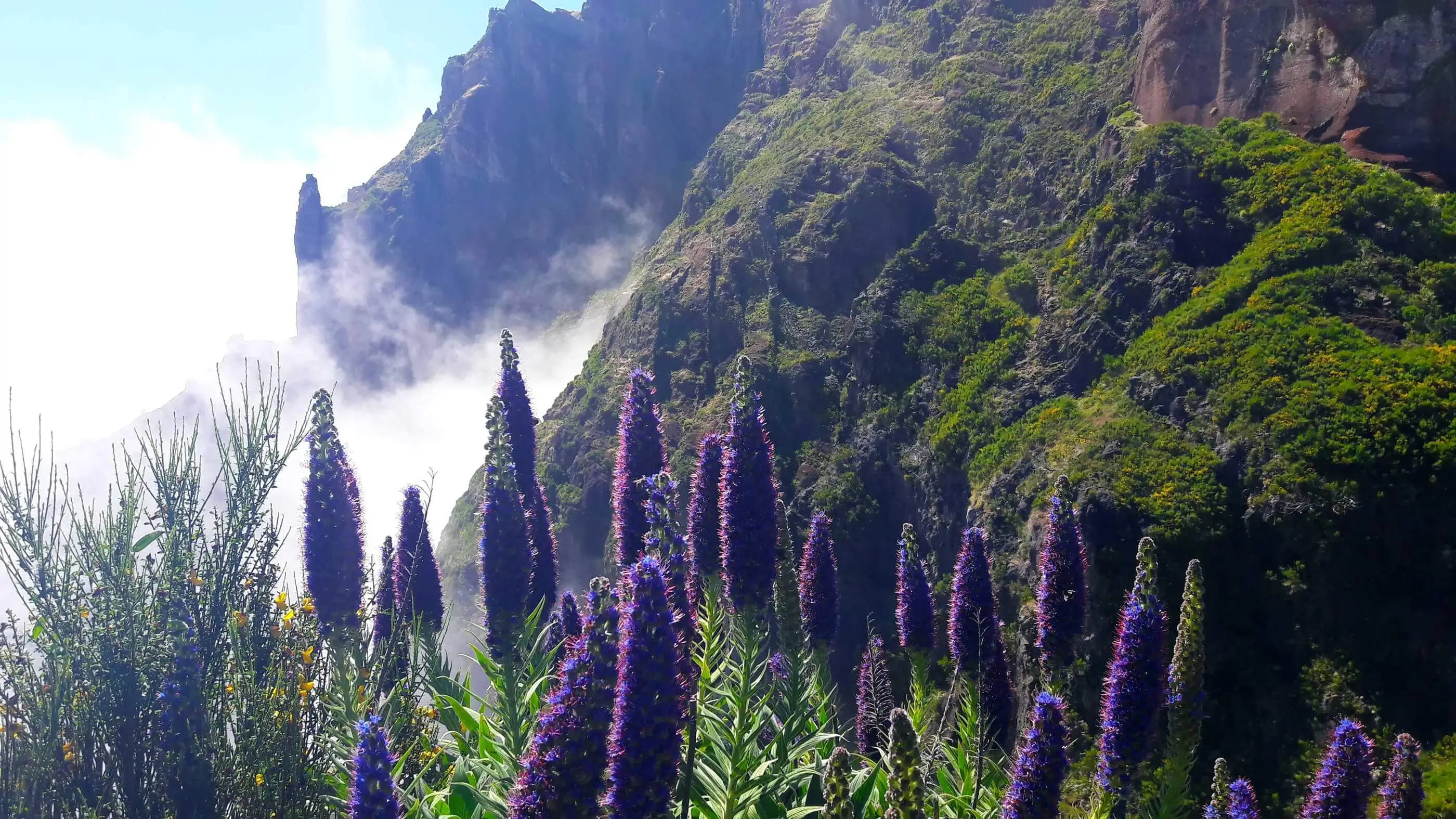 Madeira
