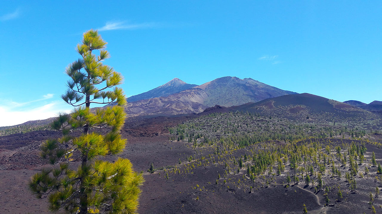 Pohled na Pico de Teide